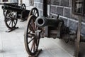 Old medieval cannon front view light artillery