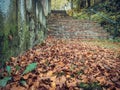 Old medieval cobbled pavement stone stairs in Sinaia town, Romania. Autumn landscape Royalty Free Stock Photo