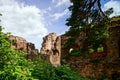 Old medieval fortress ruins of Chateau Landsberg in deep forest Royalty Free Stock Photo