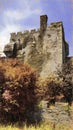 Old medieval irish towerhouse