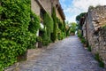 Old medieval village houses with steep narrow alley and ivy facades. Patones de Arriba Madrid Royalty Free Stock Photo