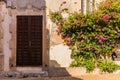 Old mediterranean house entry door with bougainville flowers Royalty Free Stock Photo