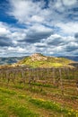 Old mediterranean town Motovun on Istria. Royalty Free Stock Photo