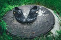 Old men`s shoes. Abandoned on the street after a rain. Worn and Royalty Free Stock Photo