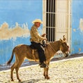 Old men sits on a donkey on the cobblestone street of Trinidad in Cuba