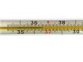 Old Mercury glass thermometer, normal temperature, isolated