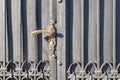 Old metal black gate decorated with ornament and fansy color handle Royalty Free Stock Photo