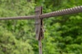 An old metal cable with a mount against the background of a green forest. Royalty Free Stock Photo