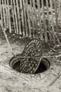 Old metal cast iron canal hatch. Dangerous open unsecured hatch on the road. A broken iron manhole cover opened dangerously in Royalty Free Stock Photo