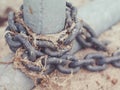 Old metal chain with dried seaweed on lake ocean sea shore