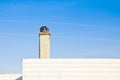 Old metal chimney on the roof of a wooden house - image with cop Royalty Free Stock Photo
