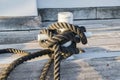 Dock mooring pole with rope
