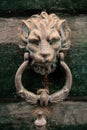 Old metal door handle in the form of a lion head. Royalty Free Stock Photo