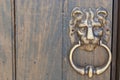An old metal door handle knocker Royalty Free Stock Photo