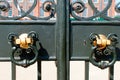 Old metal door knocker Royalty Free Stock Photo