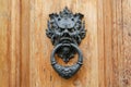 Old metal door knocker with satyrs head on a wooden door