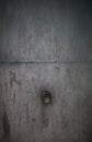 Old metal door with rusty knob Royalty Free Stock Photo