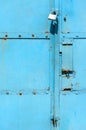 Old metal door texture Royalty Free Stock Photo