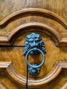 Old metal doorknob shaped like a lion Royalty Free Stock Photo