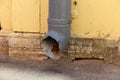 Drainpipe on the yellow wall of the house