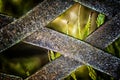 The old metal handmade back texture of the bench with blurred fe Royalty Free Stock Photo