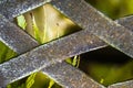 The old metal handmade back texture of the bench with blurred fe Royalty Free Stock Photo