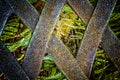 The old metal handmade back texture of the bench with ferns view Royalty Free Stock Photo