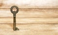 Old metal key standing on a wooden background