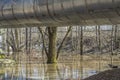 An old metal pipeline of a heating main in the forest Royalty Free Stock Photo