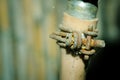 Old metal rusty coupling tightened on the faucet to hold plastic garden hose close up selective focus. Royalty Free Stock Photo