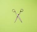 Old metal scissors on a green background Royalty Free Stock Photo