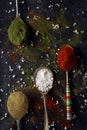 Old metal spoons with different kind of spices on black background Royalty Free Stock Photo