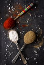 Old metal spoons with different kind of spices on black background Royalty Free Stock Photo