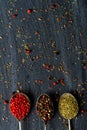 Old metal spoons with different kind of spices on black background Royalty Free Stock Photo