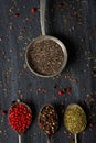 Old metal spoons with different kind of spices on black background Royalty Free Stock Photo