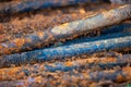 Old metal studs covered in rust, close-up, selective focus Royalty Free Stock Photo