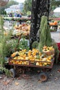 Old metal wagon filled with squash and pumpkins, with shoppers in the background at local nursery, Connecticut, 2018