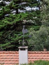 Old metal weather vane