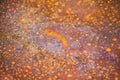 Old metallic rusty surface background. Selective focus macro shot with shallow DOF Royalty Free Stock Photo