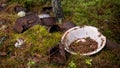 Old metallic waste dumped in the forest. Royalty Free Stock Photo