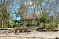 Old mexican village