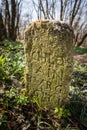 Old milestone near a path through a deciduous forest in early spring