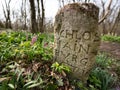 Old milestone near a path through a deciduous forest in early spring