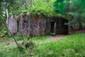 Old military bunker in deep forest Royalty Free Stock Photo