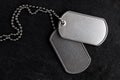 Old military dog tags - Blank Royalty Free Stock Photo