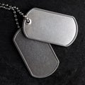 Old military dog tags - Blank Royalty Free Stock Photo