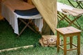 An old military field hospital with retro tents and vintage medical beds from the First World War. Mobile clinic for the treatment Royalty Free Stock Photo