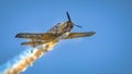 Old military plane at Bucharest Aeronautic show Royalty Free Stock Photo