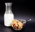 Old Milk Bottle & Cereal