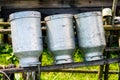 Old Milk Cans Made of Aluminum Royalty Free Stock Photo